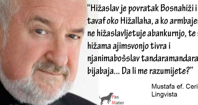 Lingvista opet blista