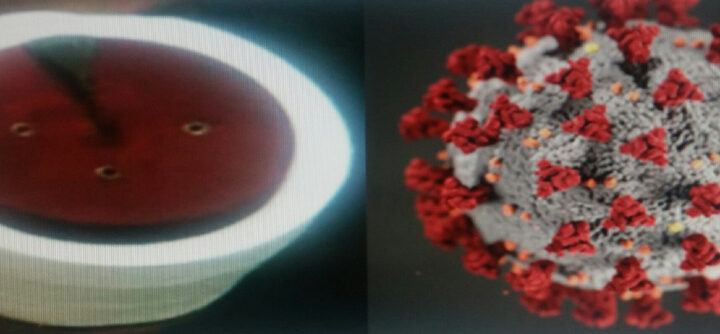 Konstitutivni BH coronavirus
