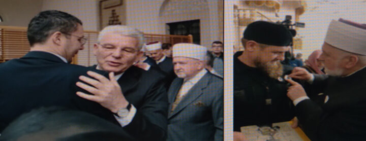 Čečenski pijetao u bh kokošinjcu