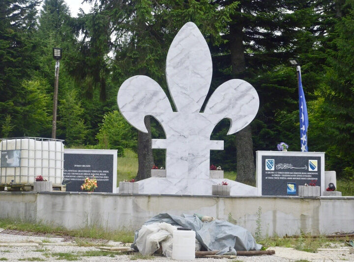 Alijina zemunica