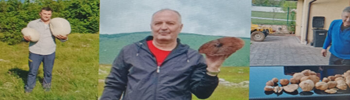 Kad 'ludare' udare