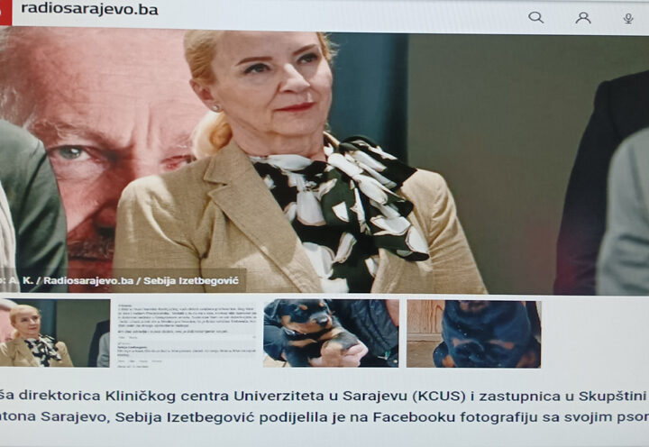 Sebija i dva kućna ljubimca : rotvajler i 'rotfrajer'