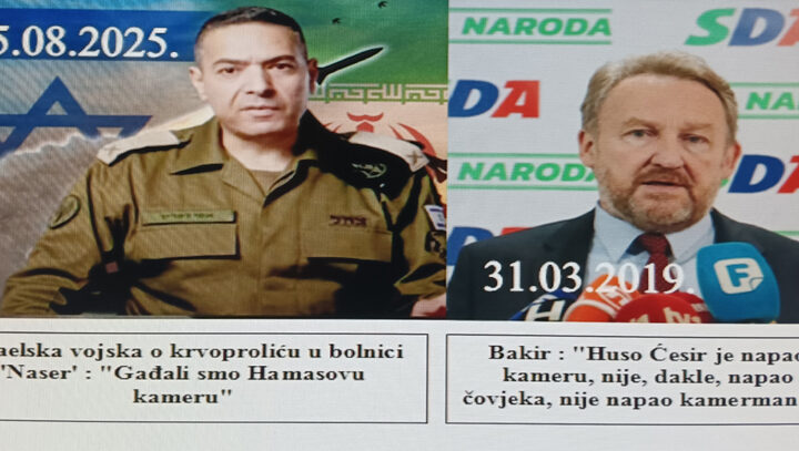 MUDROST JE MAJKA VIDOVITOSTI