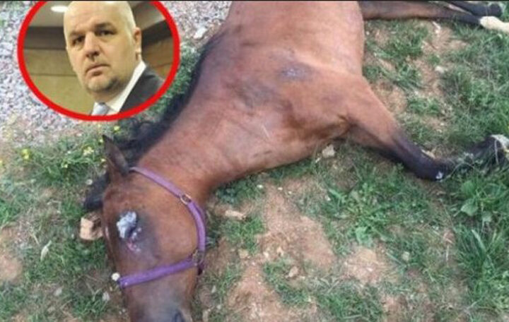 Dobrodošli u 'Pravosudni Klub Godišnjaka'