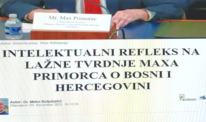 Intelektualni reflex džematskog doktora iz dijaspore
