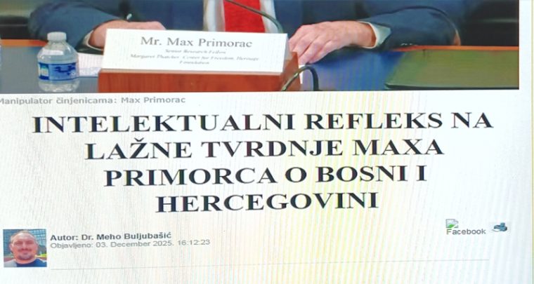 Intelektualni reflex džematskog doktora iz dijaspore