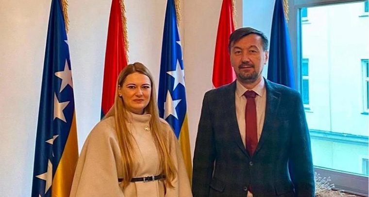 Ambasade BiH nisu 'države' već centrale stranaka