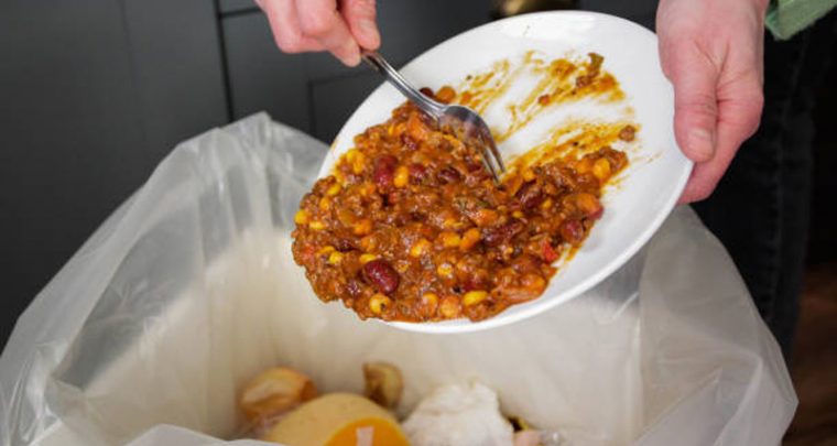 Leftovers in Bosnian style