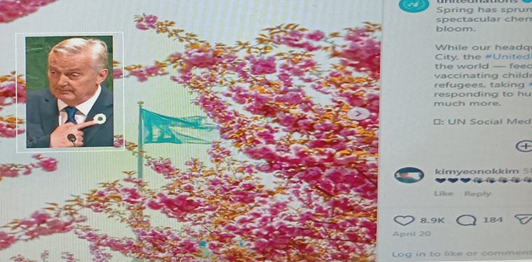 'Zlaja' među japanskim trešnjama, Bosancima kusur u šljivama