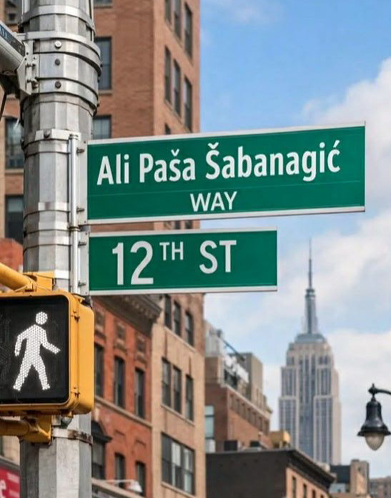 prilog ali pasa sabanagic