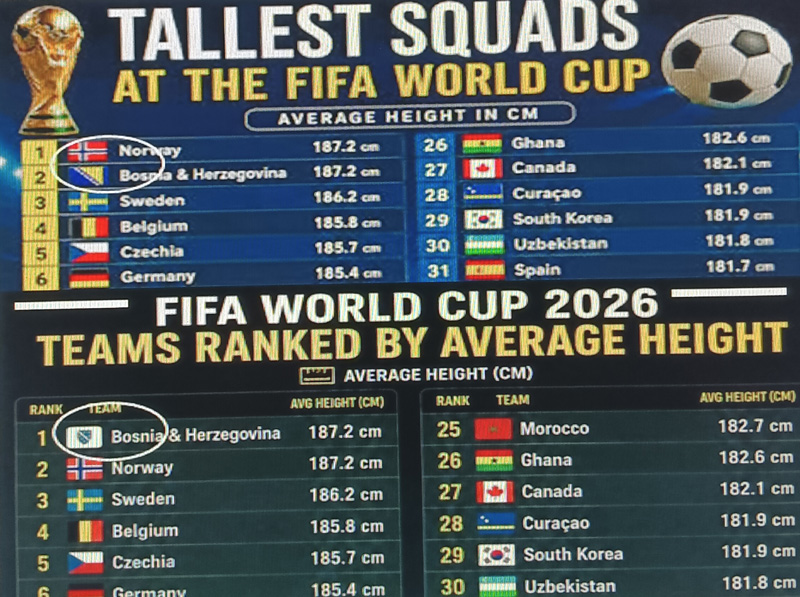 prilog ljiljani FIFA